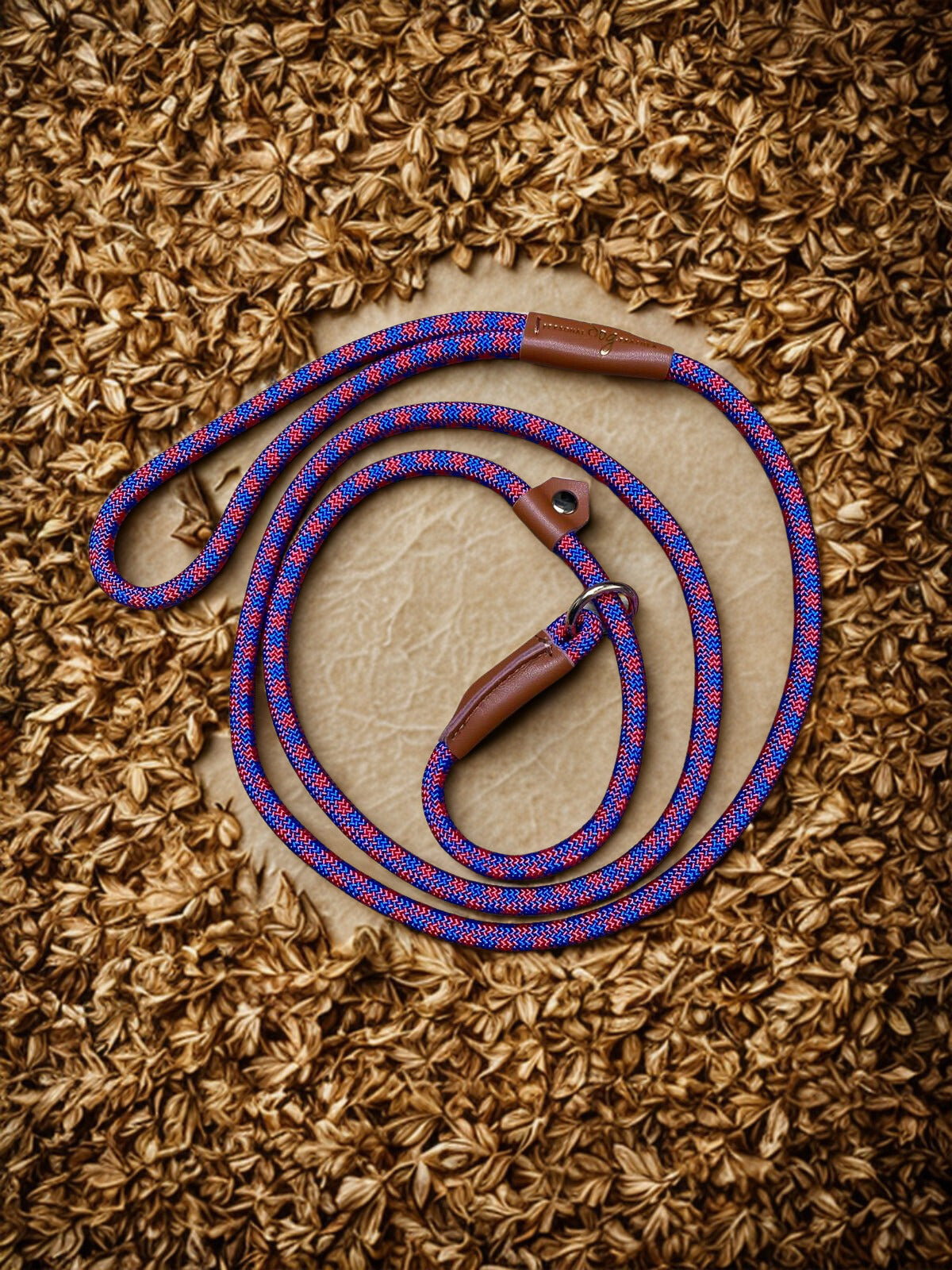 Hondenriem - 1,6 meter - Roze/Blauw