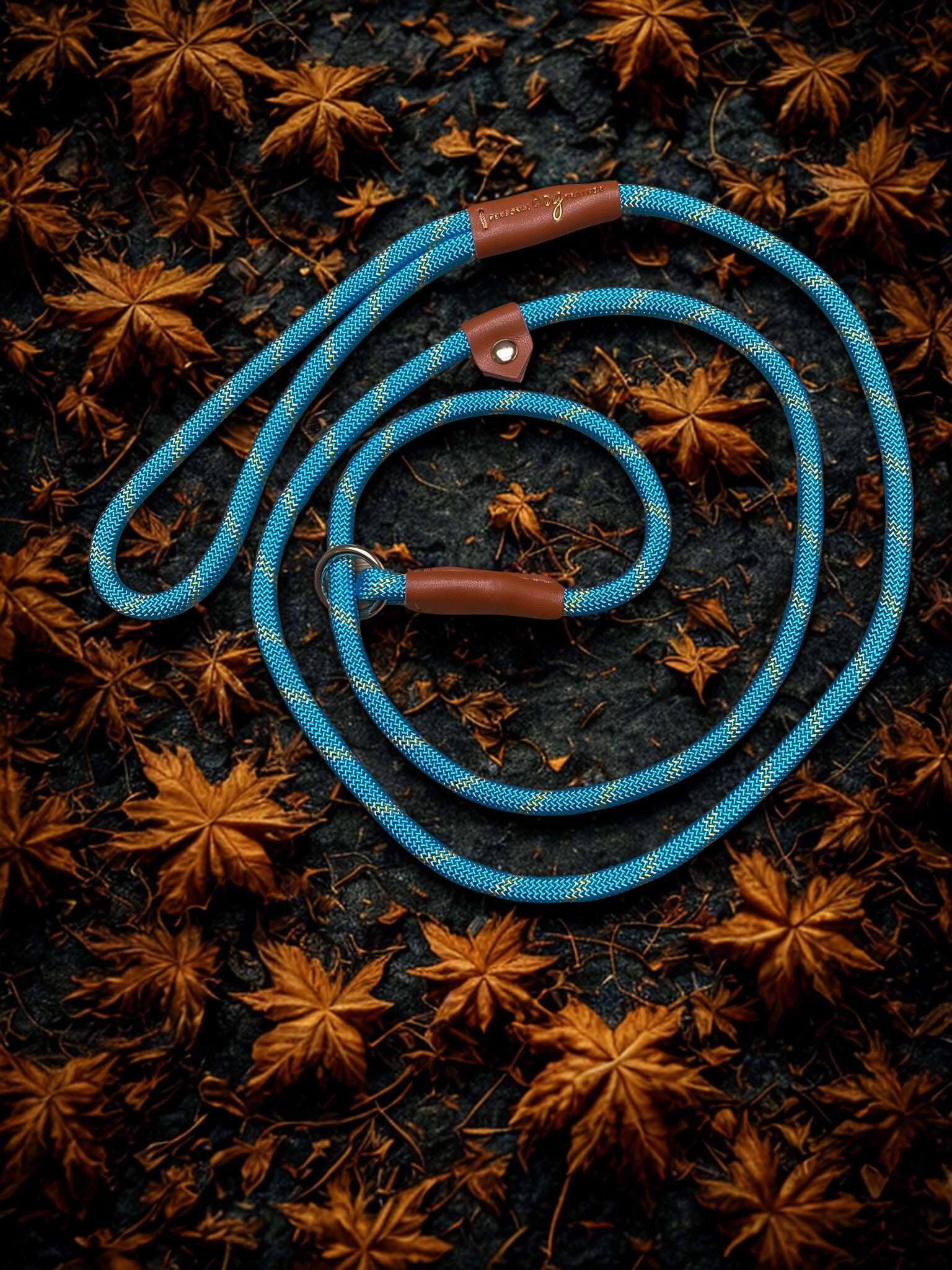 Hondenriem 1,6 meter – Reflecterend Blauw/Geel