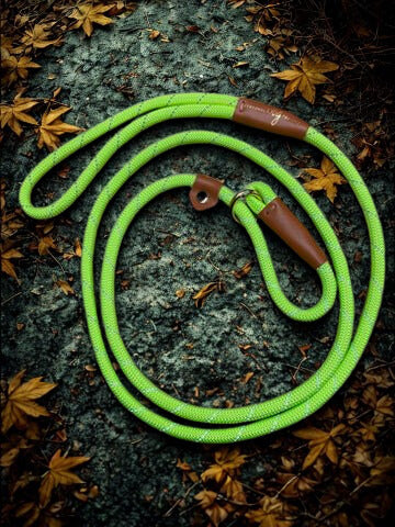 Hondenriem 1,6 meter – Reflecterend -Fluor- Geel