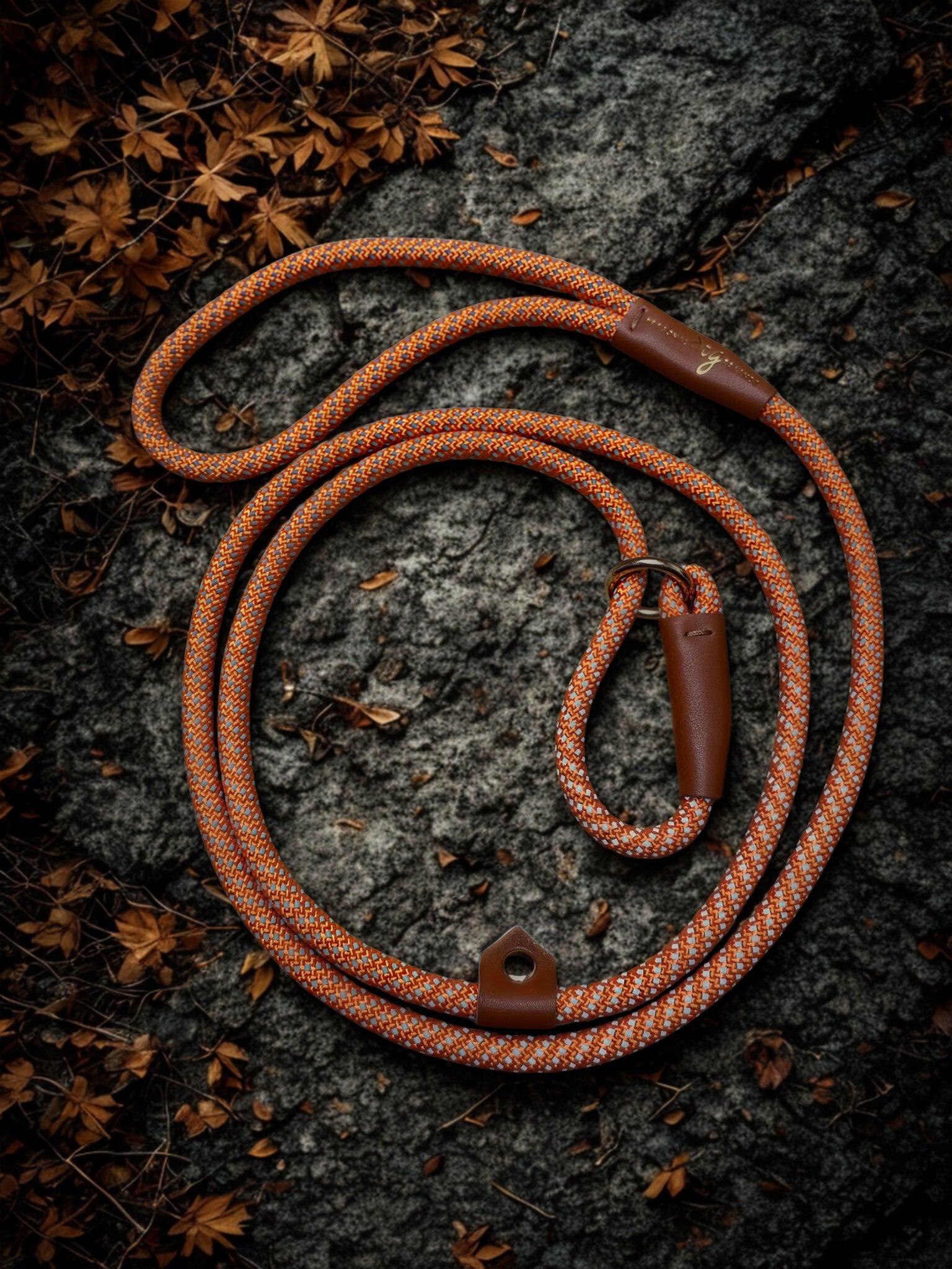 Hondenriem 1,6 meter – Reflecterend - Oranje