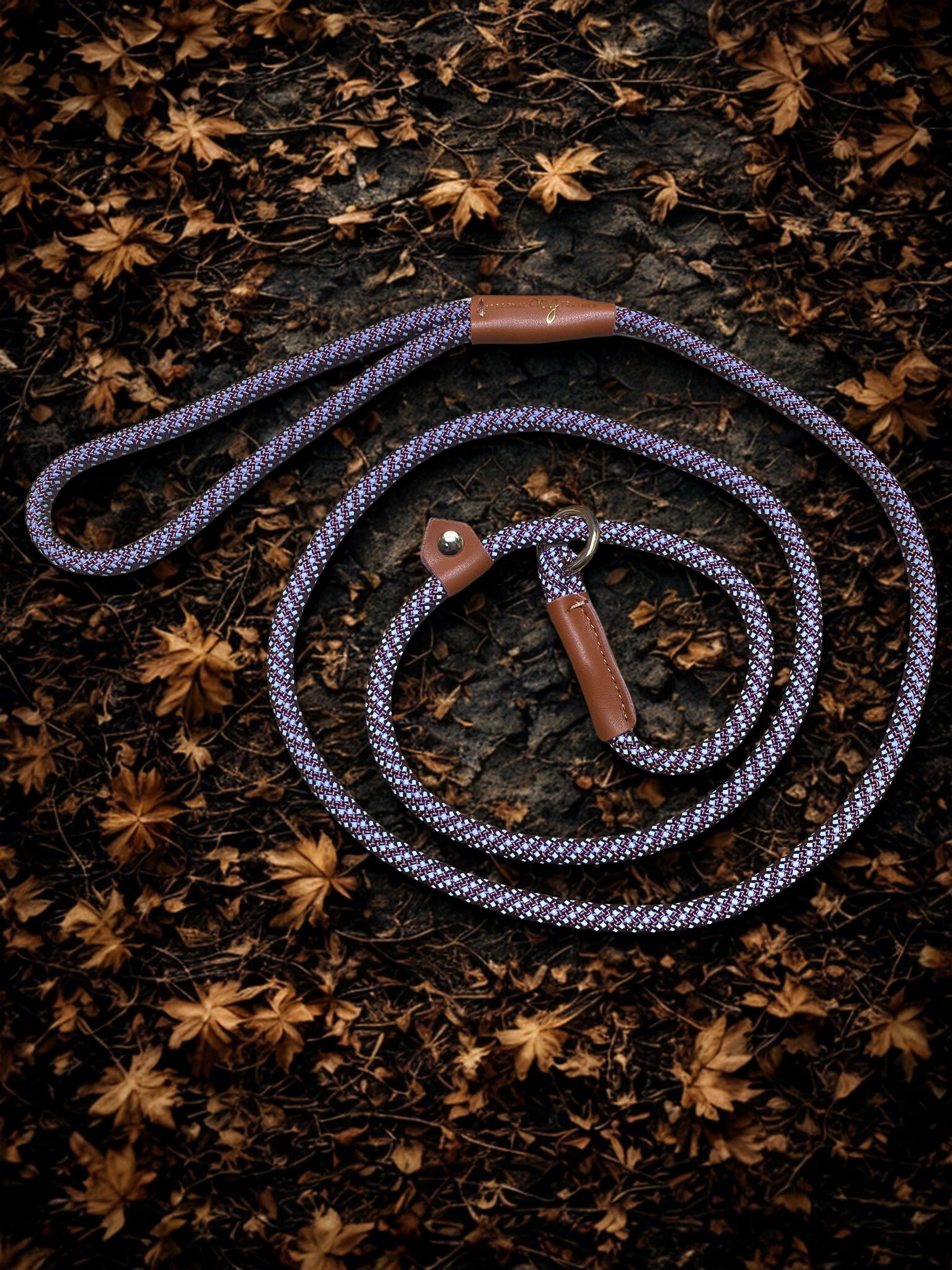 Hondenriem - 1,6 meter - Reflecterend - Paars/Bruin