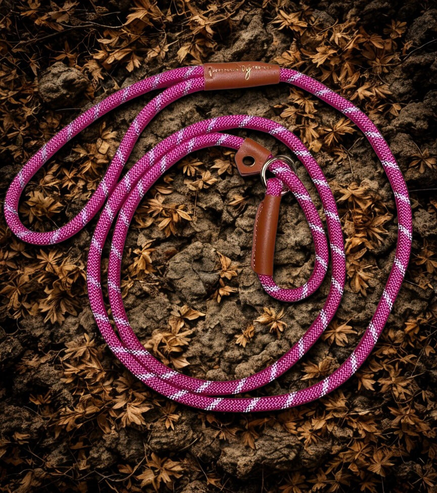 Hondenriem 1,6 meter – Reflecterend -Dubbel-Paars