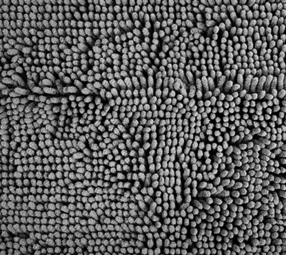 Droogloopmat 50 x 80