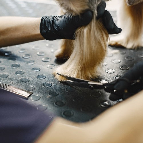 Honden trimsetje