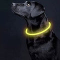 Oplaadbare LED Hondenhalsband