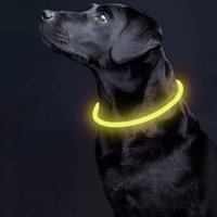 Oplaadbare LED Hondenhalsband